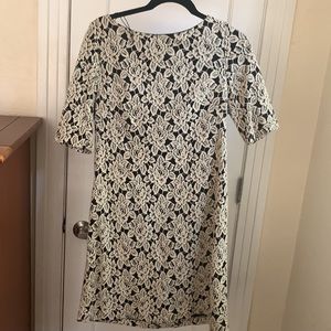 Adrianna Papel Boatneck lace shit dress size 10